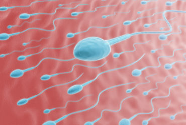 128 pays attendus à la Coupe du Monde de courses de spermatozoïdes 2026