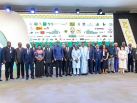 Transport aérien : Lomé porte l'ambition d'un ciel africain unifié
