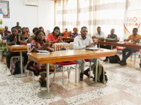 Togo/Kara : la propriété intellectuelle, nouvel allié des jeunes agroentrepreneurs