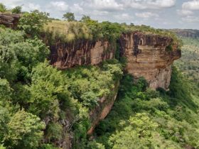Savanes : à la découverte des trésors cachés du passé