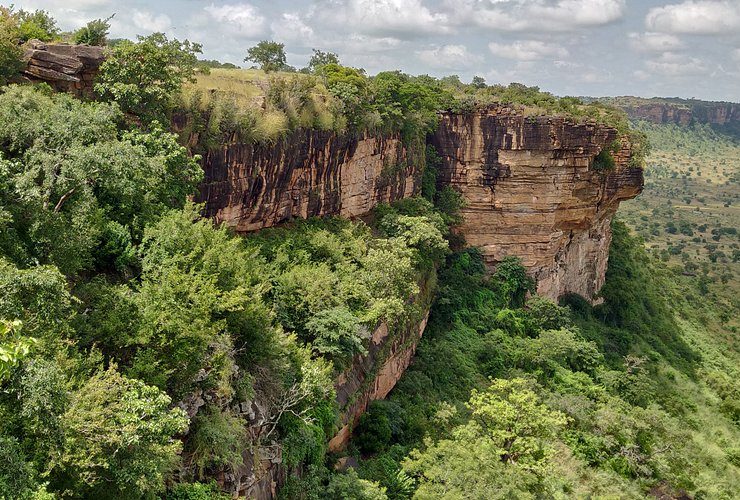 Savanes : à la découverte des trésors cachés du passé