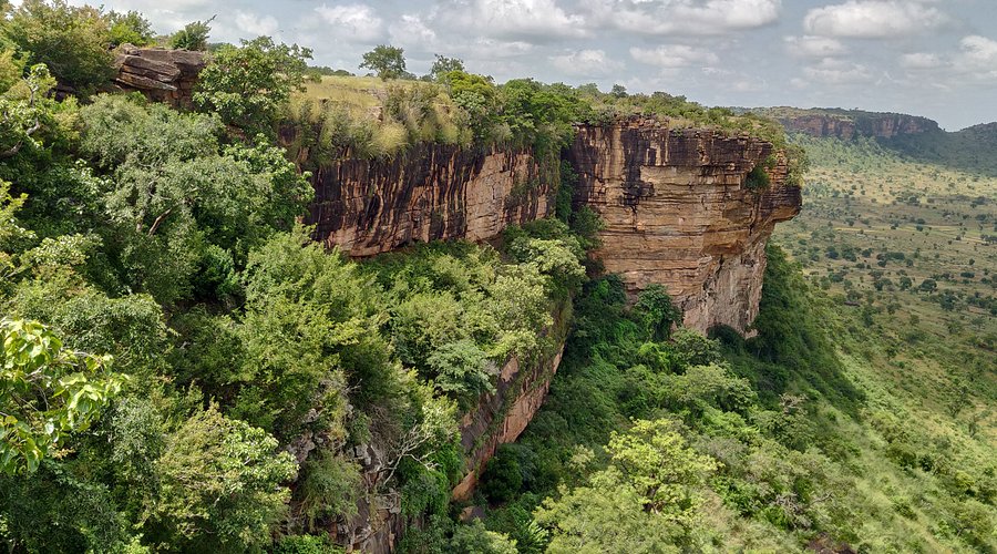 Savanes : à la découverte des trésors cachés du passé
