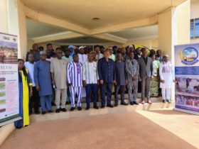 Traçabilité du bétail : le Togo et le Burkina Faso cherchent une solution commune